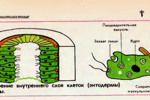 Кракен картель