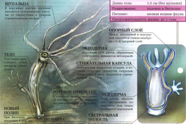 Ссылка кракен официальная тор