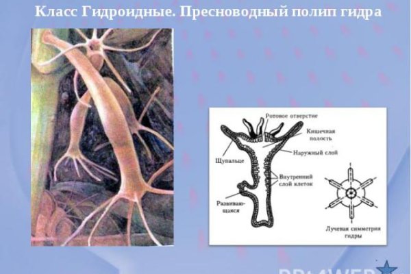 Ссылка на кракен krawebes