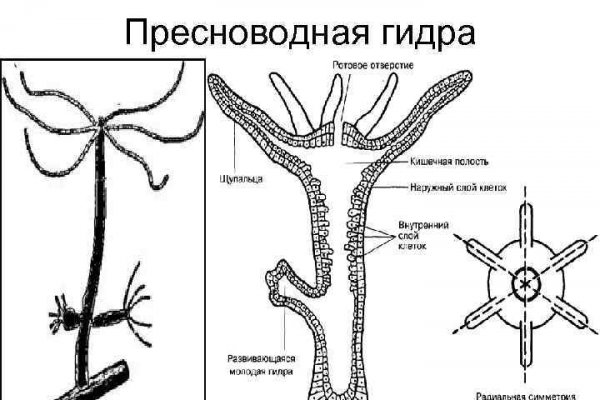 Где брать ссылки на кракен